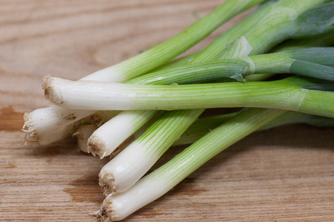 Spring Onion