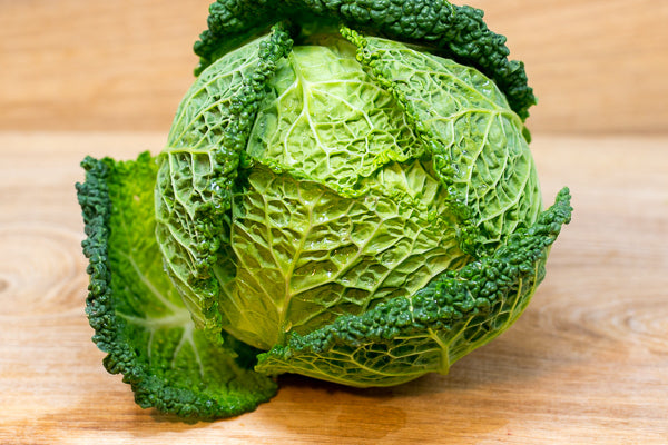 Cabbage – Savoy