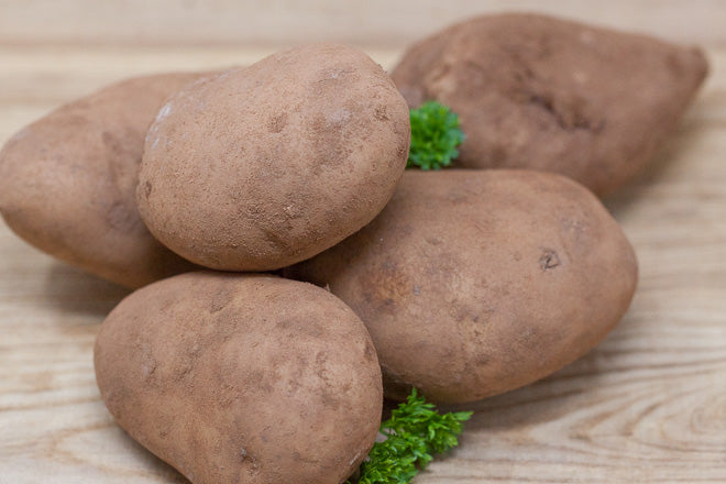 Potato – Bakers