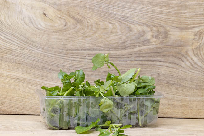 Watercress