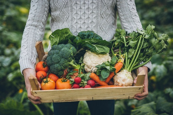 Seasonal Vegetable Box (Small)